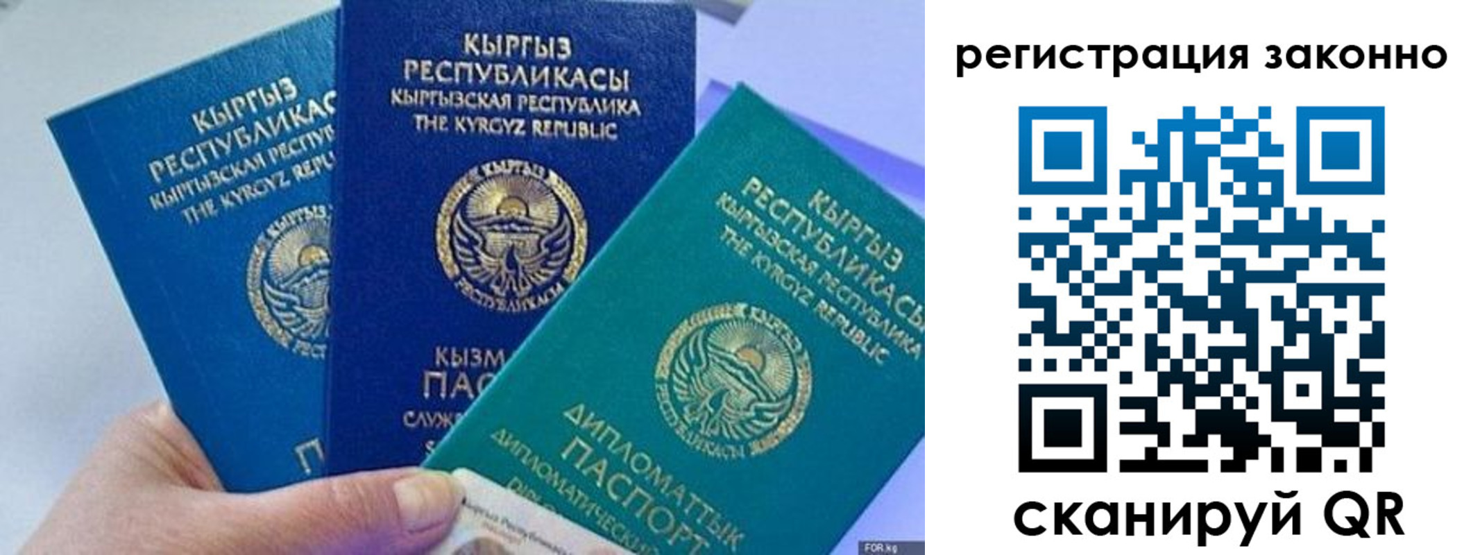 временная регистрация гарантия в Полярных Зорях